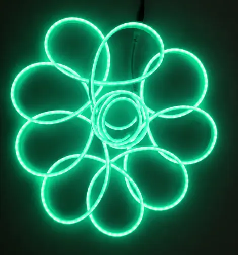 Green Neon Flexible Rope 5M