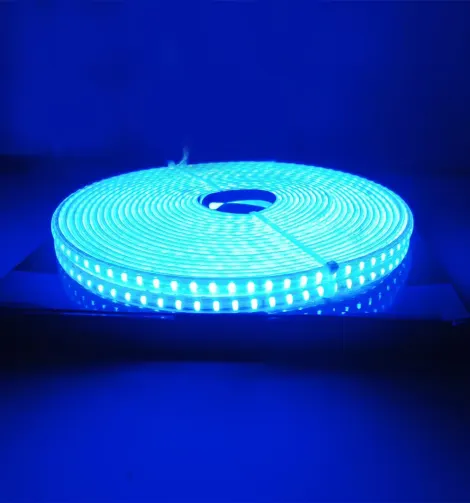 LED Rope Light Blue